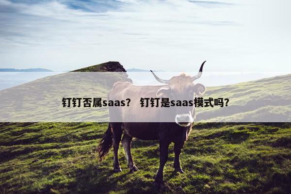 钉钉否属saas？ 钉钉是saas模式吗？