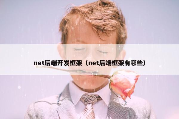 net后端开发框架（net后端框架有哪些）