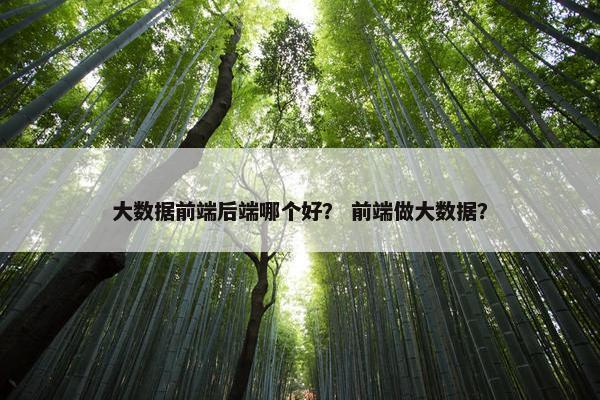 大数据前端后端哪个好？ 前端做大数据？