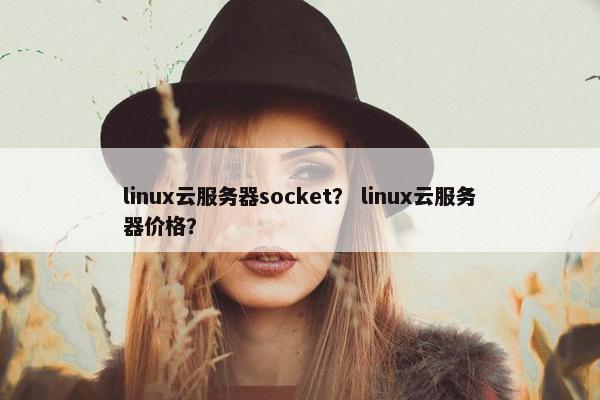 linux云服务器socket？ linux云服务器价格？