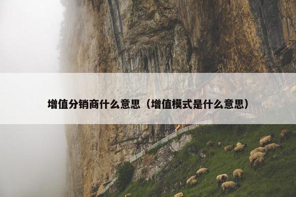 增值分销商什么意思（增值模式是什么意思）