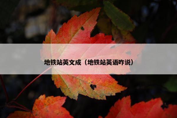 地铁站英文成（地铁站英语咋说）