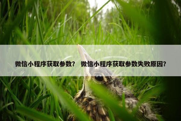 微信小程序获取参数？ 微信小程序获取参数失败原因？