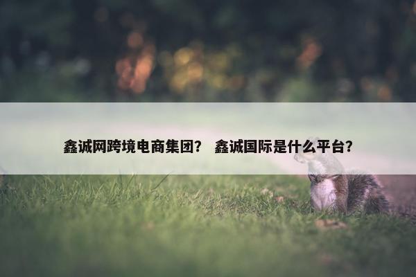 鑫诚网跨境电商集团？ 鑫诚国际是什么平台？