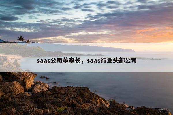 saas公司董事长，saas行业头部公司