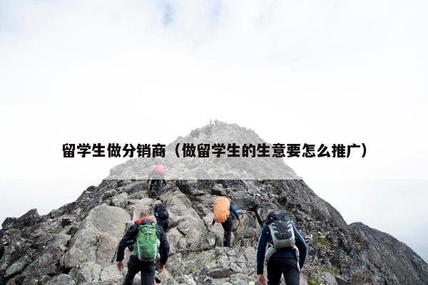 留学生做分销商（做留学生的生意要怎么推广）