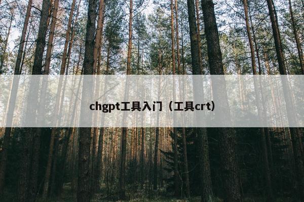 chgpt工具入门（工具crt）