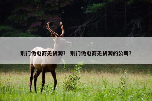 荆门做电商无货源？ 荆门做电商无货源的公司？