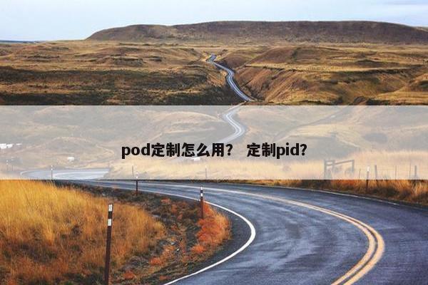 pod定制怎么用？ 定制pid？