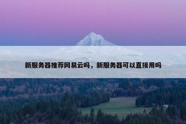 新服务器推荐网易云吗，新服务器可以直接用吗