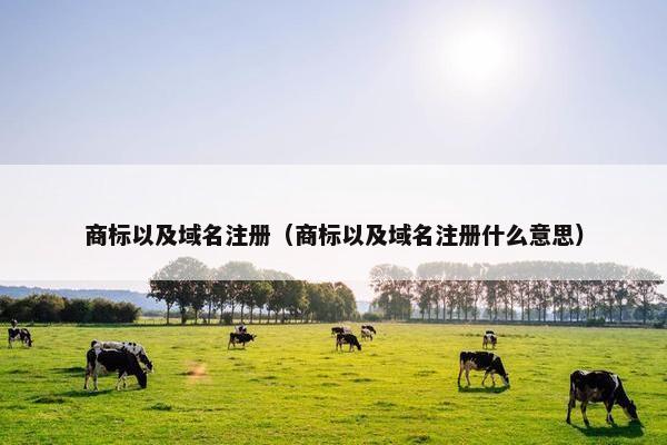商标以及域名注册（商标以及域名注册什么意思）