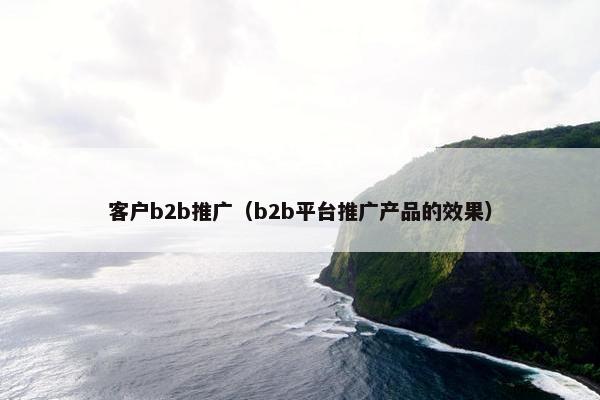 客户b2b推广（b2b平台推广产品的效果）