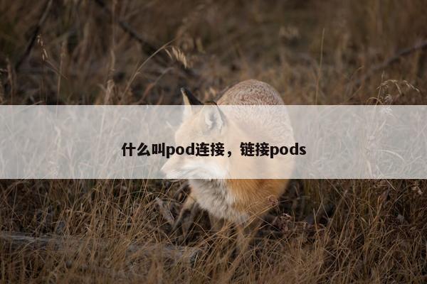 什么叫pod连接，链接pods