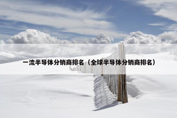 一流半导体分销商排名（全球半导体分销商排名）