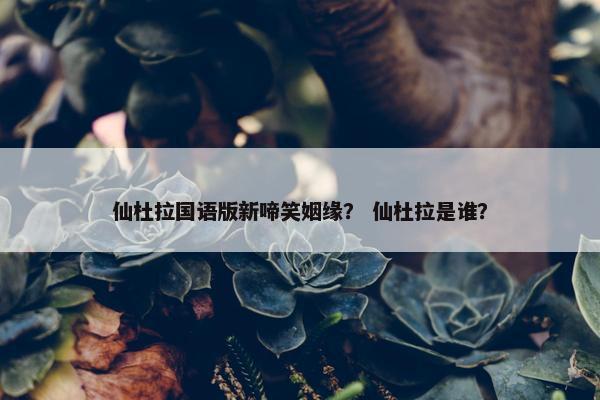 仙杜拉国语版新啼笑姻缘？ 仙杜拉是谁？