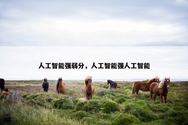人工智能强弱分，人工智能强人工智能