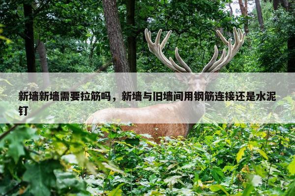 新墙新墙需要拉筋吗，新墙与旧墙间用钢筋连接还是水泥钉