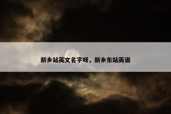 新乡站英文名字呀，新乡东站英语