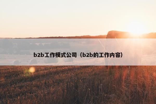 b2b工作模式公司（b2b的工作内容）