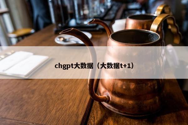 chgpt大数据（大数据t+1）