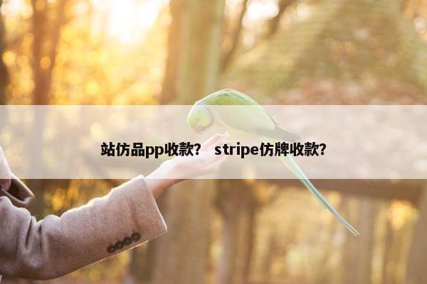 站仿品pp收款？ stripe仿牌收款？