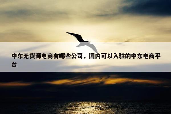 中东无货源电商有哪些公司，国内可以入驻的中东电商平台
