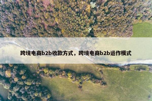 跨境电商b2b收款方式，跨境电商b2b运作模式