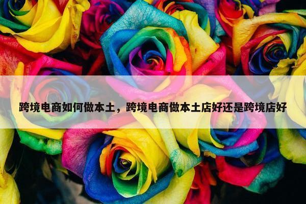 跨境电商如何做本土，跨境电商做本土店好还是跨境店好