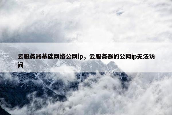 云服务器基础网络公网ip，云服务器的公网ip无法访问