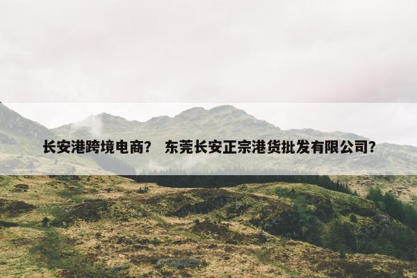 长安港跨境电商？ 东莞长安正宗港货批发有限公司？