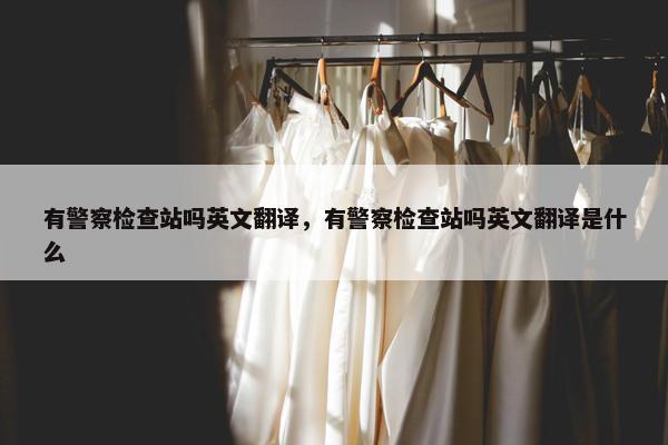 有警察检查站吗英文翻译，有警察检查站吗英文翻译是什么
