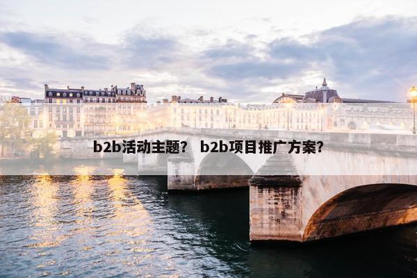 b2b活动主题？ b2b项目推广方案？