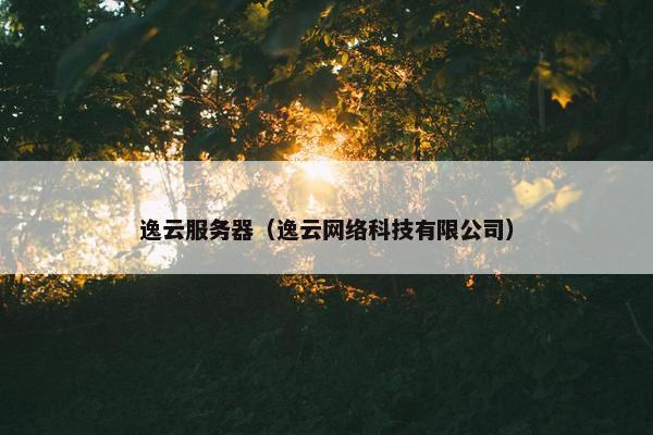 逸云服务器（逸云网络科技有限公司）