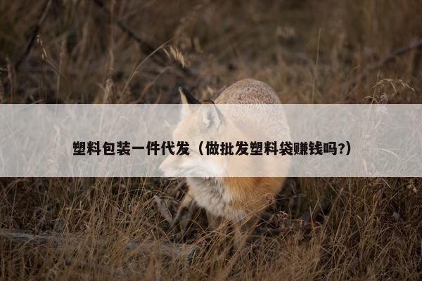 塑料包装一件代发（做批发塑料袋赚钱吗?）