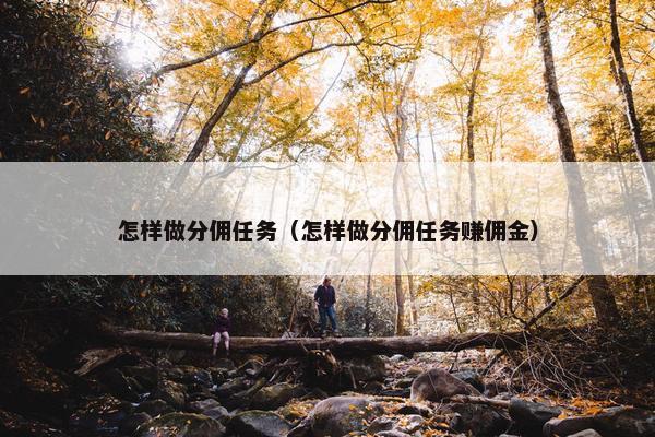 怎样做分佣任务（怎样做分佣任务赚佣金）