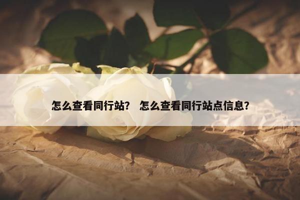 怎么查看同行站？ 怎么查看同行站点信息？