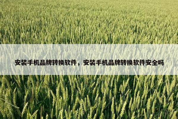安装手机品牌转换软件，安装手机品牌转换软件安全吗