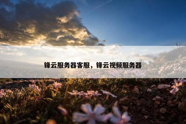 锋云服务器客服，锋云视频服务器