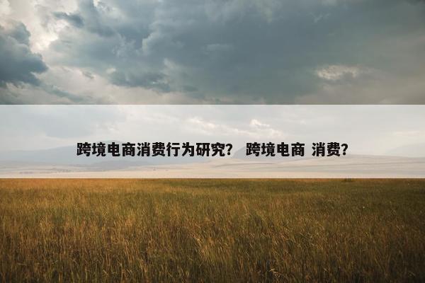 跨境电商消费行为研究？ 跨境电商 消费？
