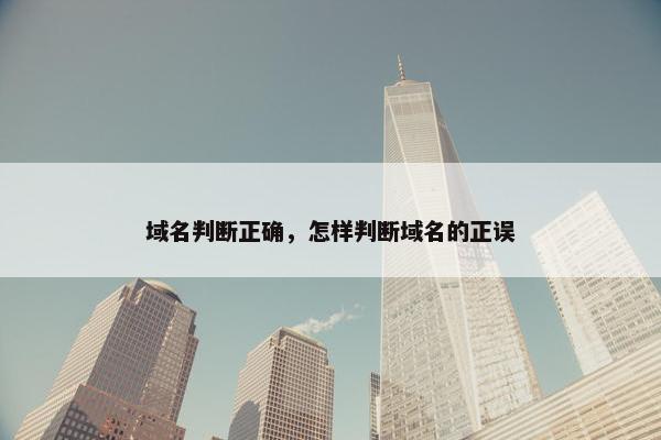域名判断正确，怎样判断域名的正误
