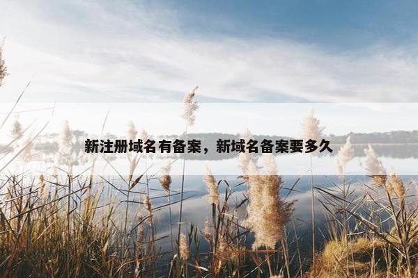 新注册域名有备案，新域名备案要多久