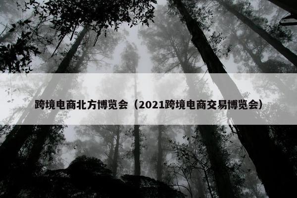跨境电商北方博览会（2021跨境电商交易博览会）