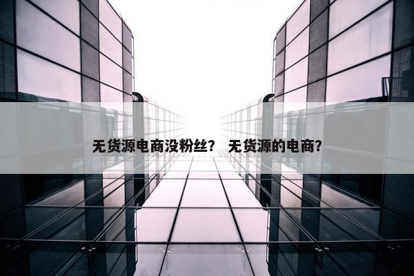 无货源电商没粉丝？ 无货源的电商？