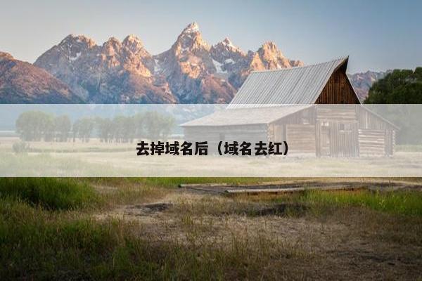 去掉域名后（域名去红）