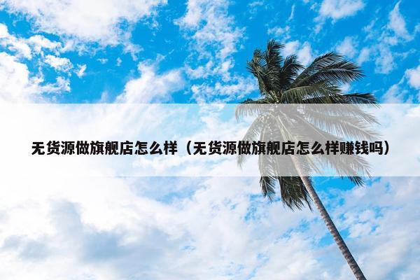 无货源做旗舰店怎么样（无货源做旗舰店怎么样赚钱吗）