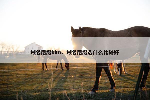 域名后缀kim，域名后缀选什么比较好