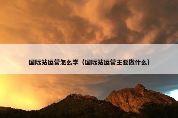 国际站运营怎么学（国际站运营主要做什么）