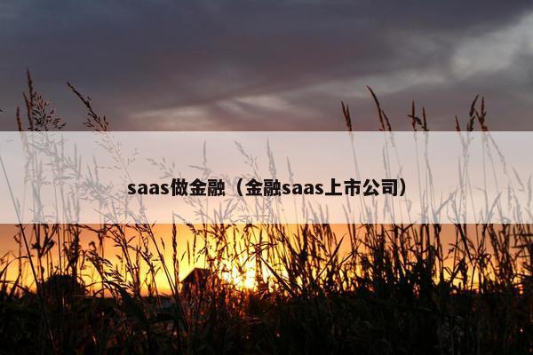 saas做金融（金融saas上市公司）