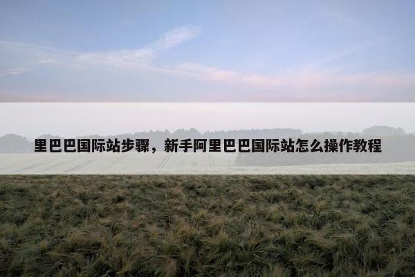 里巴巴国际站步骤，新手阿里巴巴国际站怎么操作教程
