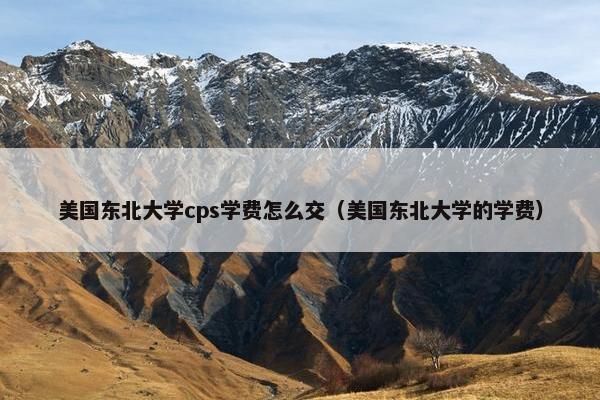 美国东北大学cps学费怎么交（美国东北大学的学费）